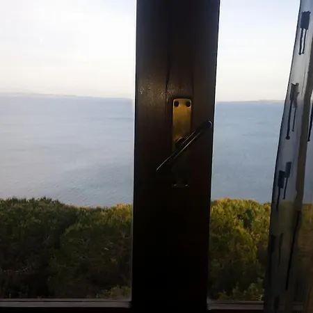 Ippocampo Dg * Carloforte (Isola di San Pietro)
