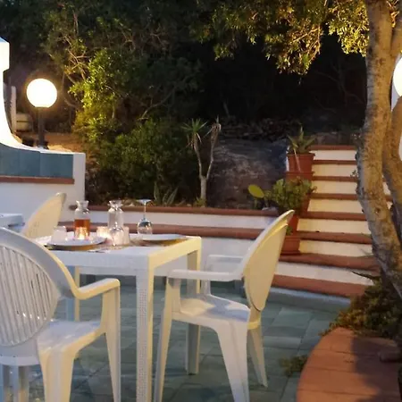 Ippocampo Dg * Carloforte (Isola di San Pietro)